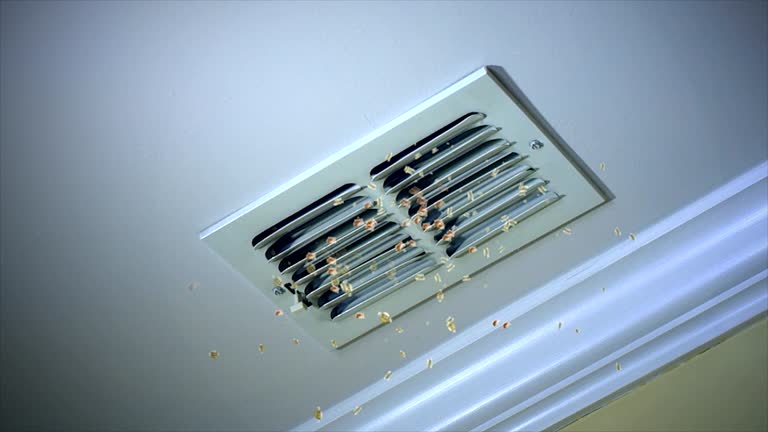 Reliable Theresa, WI Airduct Cleaning Solutions
